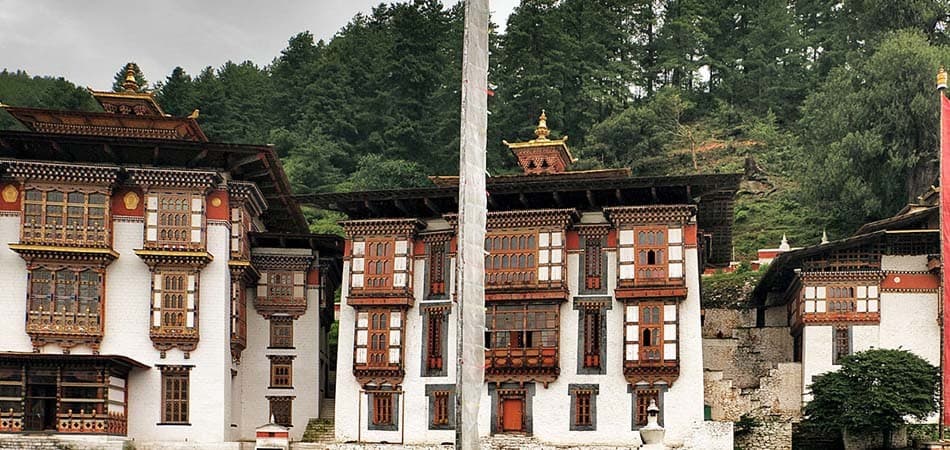 Trekking through blue pine forest in Bumthang