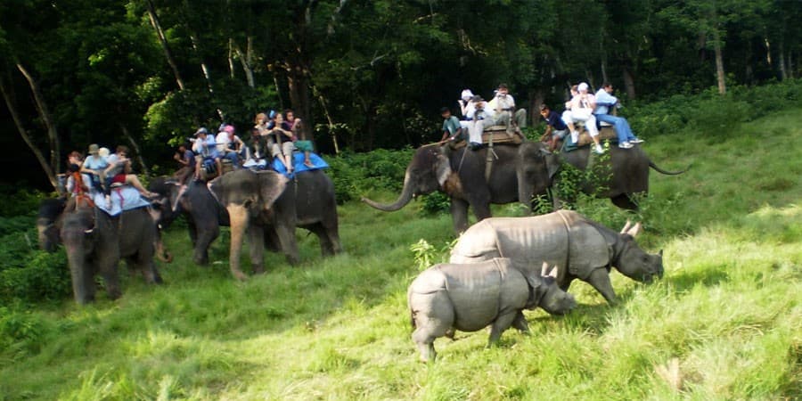 Wildlife viewing in the grasslands of Chitwan