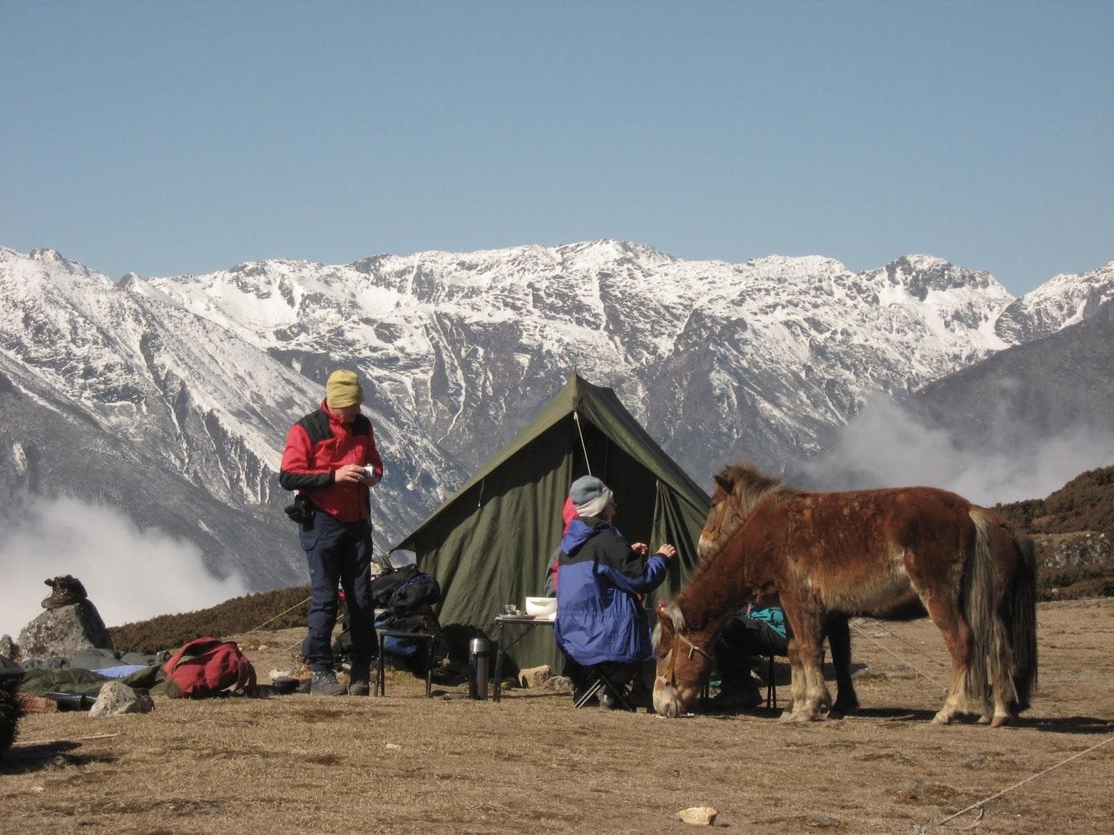 Trekking trail in the Darjeeling hills