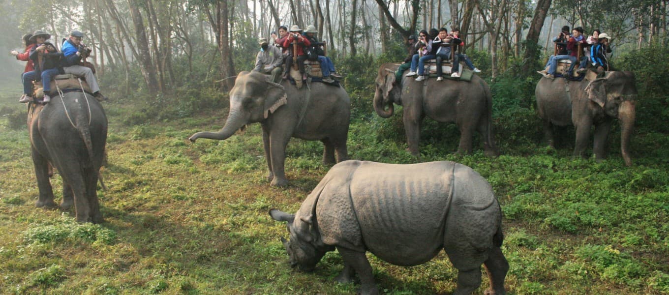 Jungle safari in Chitwan National Park