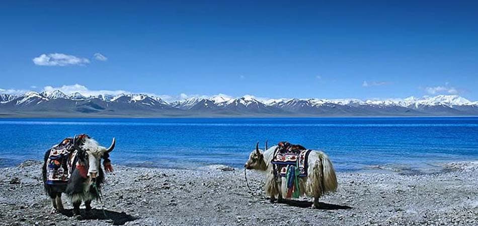 Turquoise Namtso lake with the Nyenchen Tanglha range