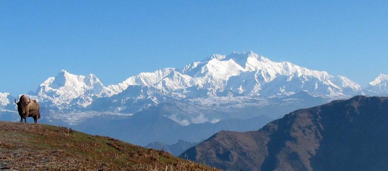 Kanchenjunga range seen from the Singalila Ridge near Phalut
