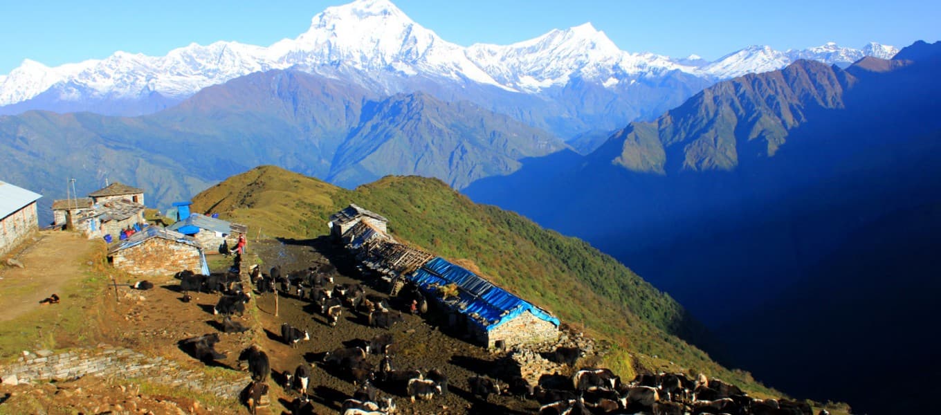 Dhaulagiri massif on the Dhaulagiri Circuit trek