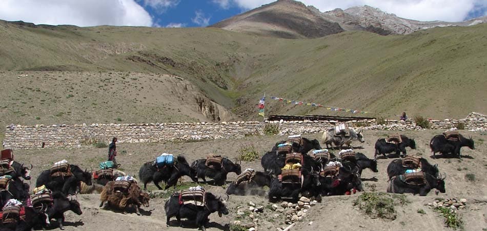 Remote high valley of Upper Dolpo on the trek to Jomsom