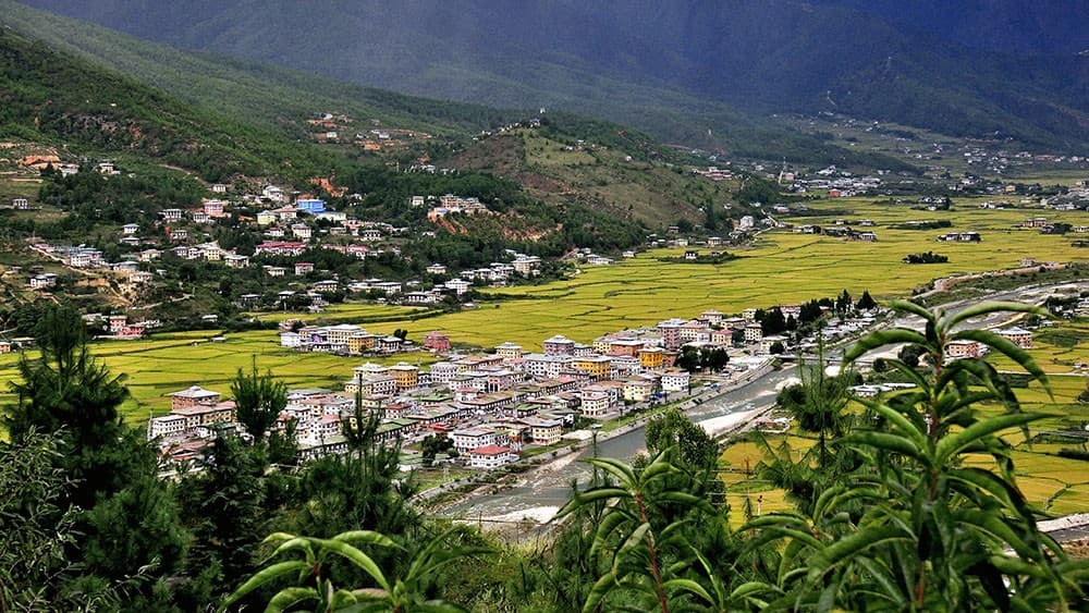 Punakha valley rice fields